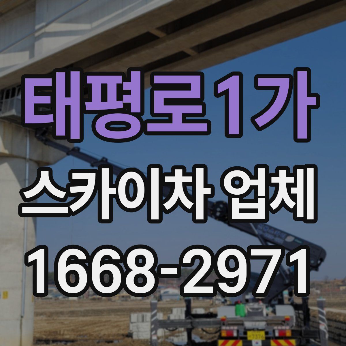 태평로1가 스카이차 업체
