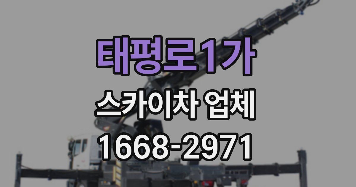 태평로1가 스카이차 업체