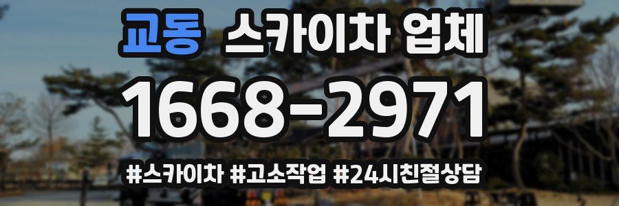 교동 스카이차 업체