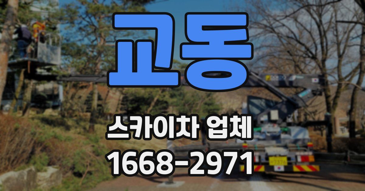 교동 스카이차 업체