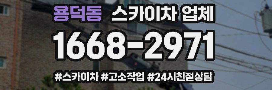 용덕동 스카이차 업체