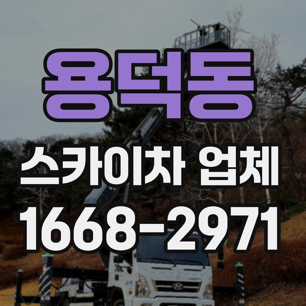 용덕동 스카이차 업체