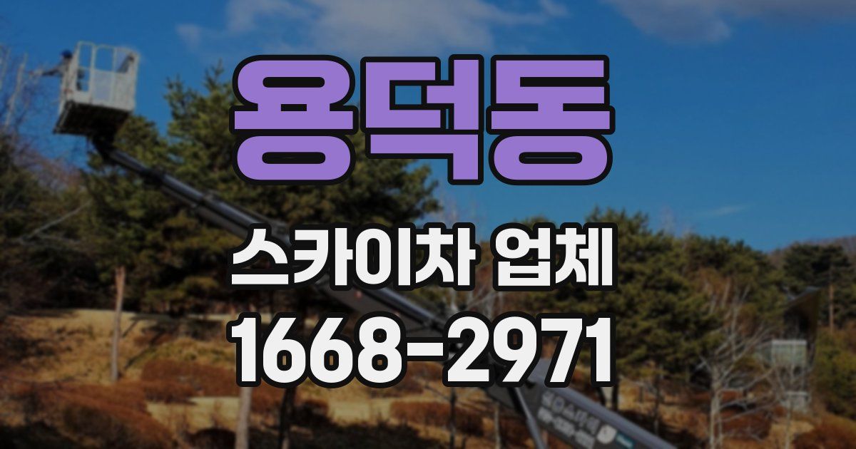 용덕동 스카이차 업체
