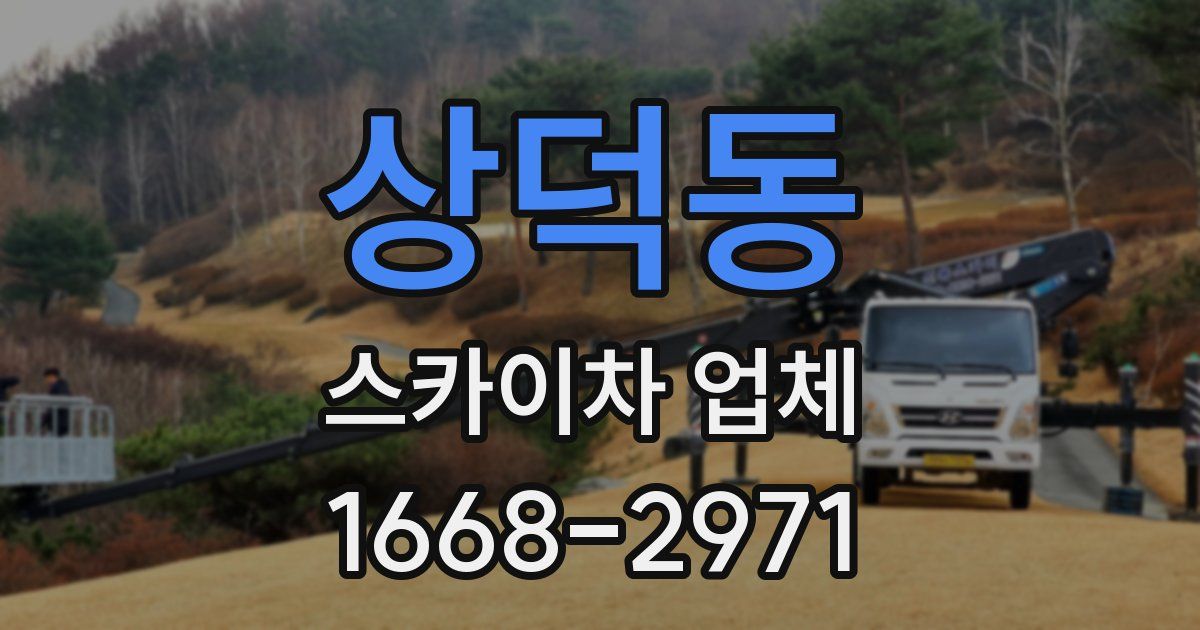 상덕동 스카이차 업체