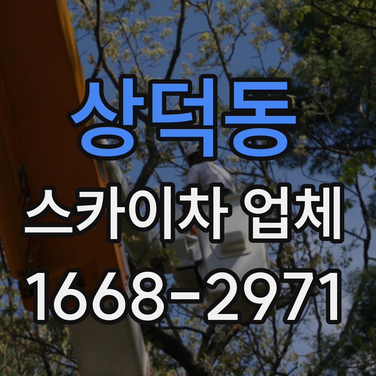 상덕동 스카이차 업체