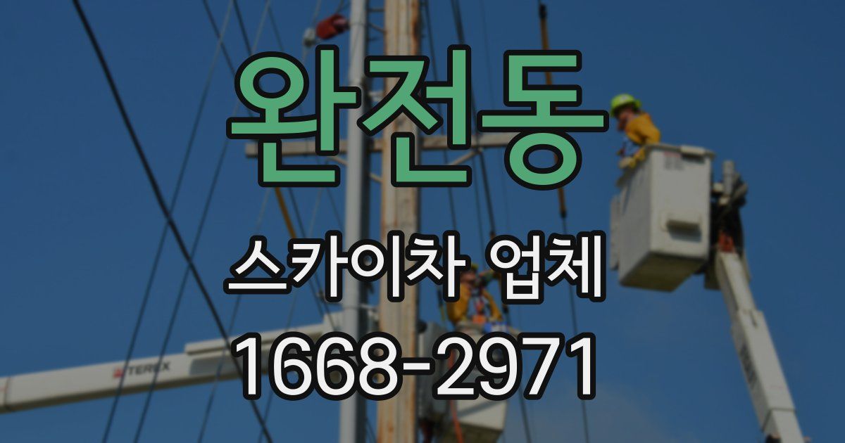 완전동 스카이차 업체