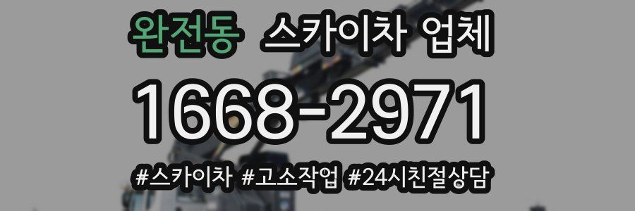 완전동 스카이차 업체