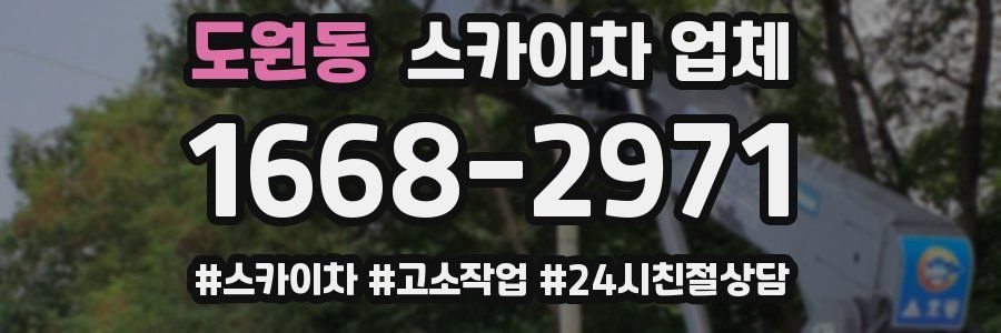 도원동 스카이차 업체