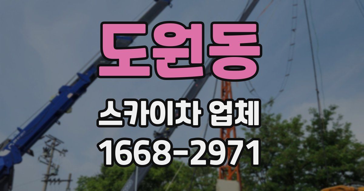 도원동 스카이차 업체