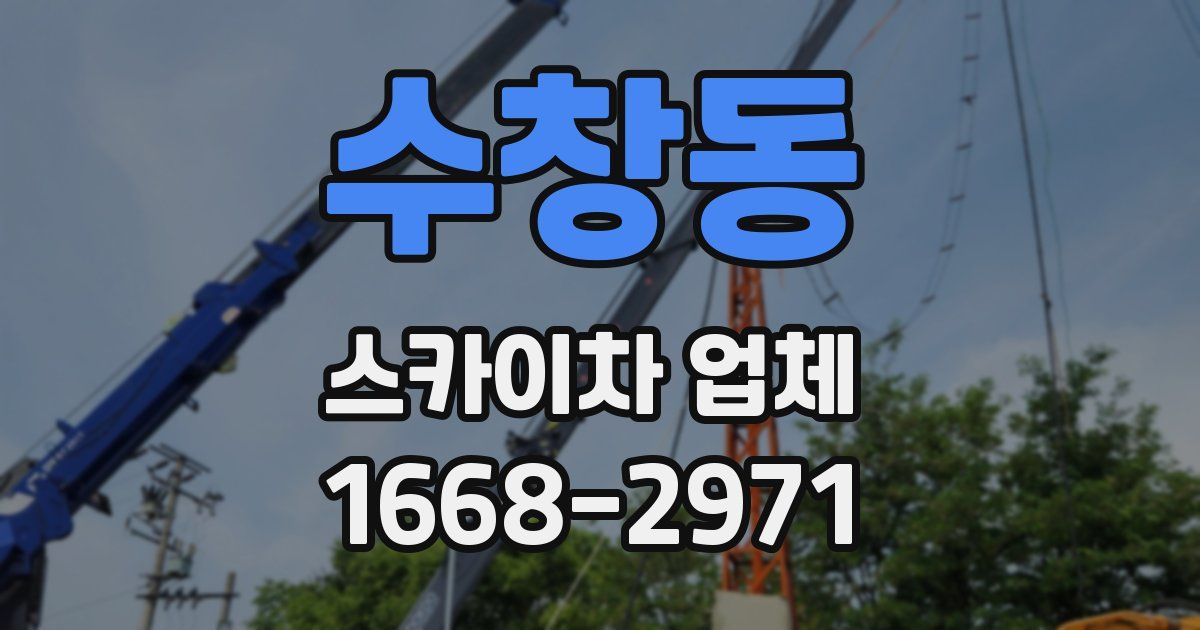 수창동 스카이차 업체