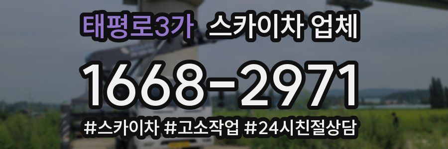 태평로3가 스카이차 업체