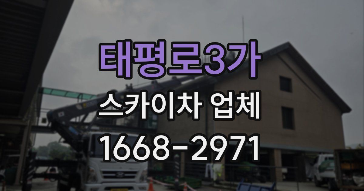 태평로3가 스카이차 업체