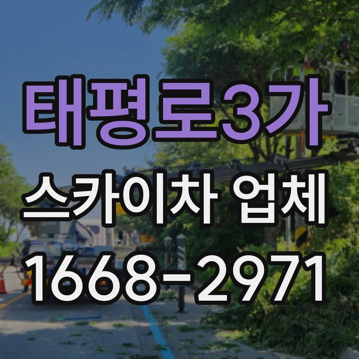 태평로3가 스카이차 업체
