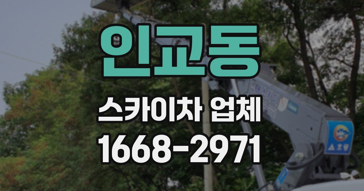 인교동 스카이차 업체