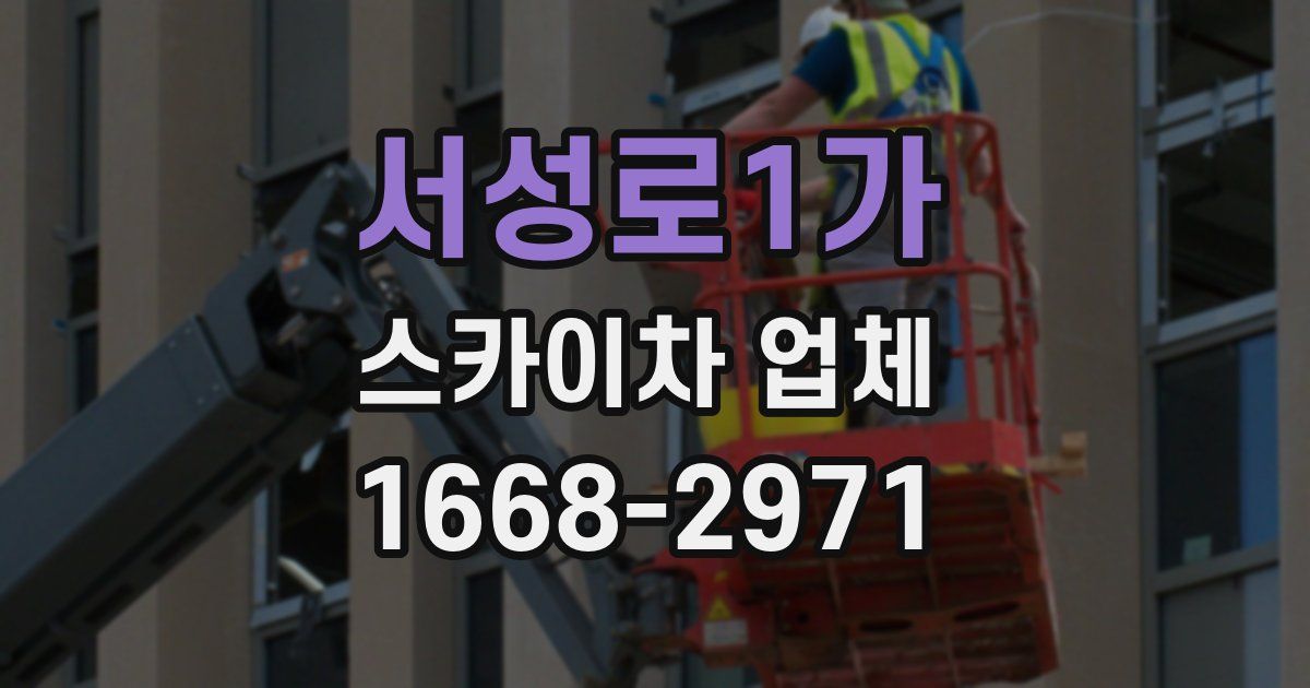서성로1가 스카이차 업체