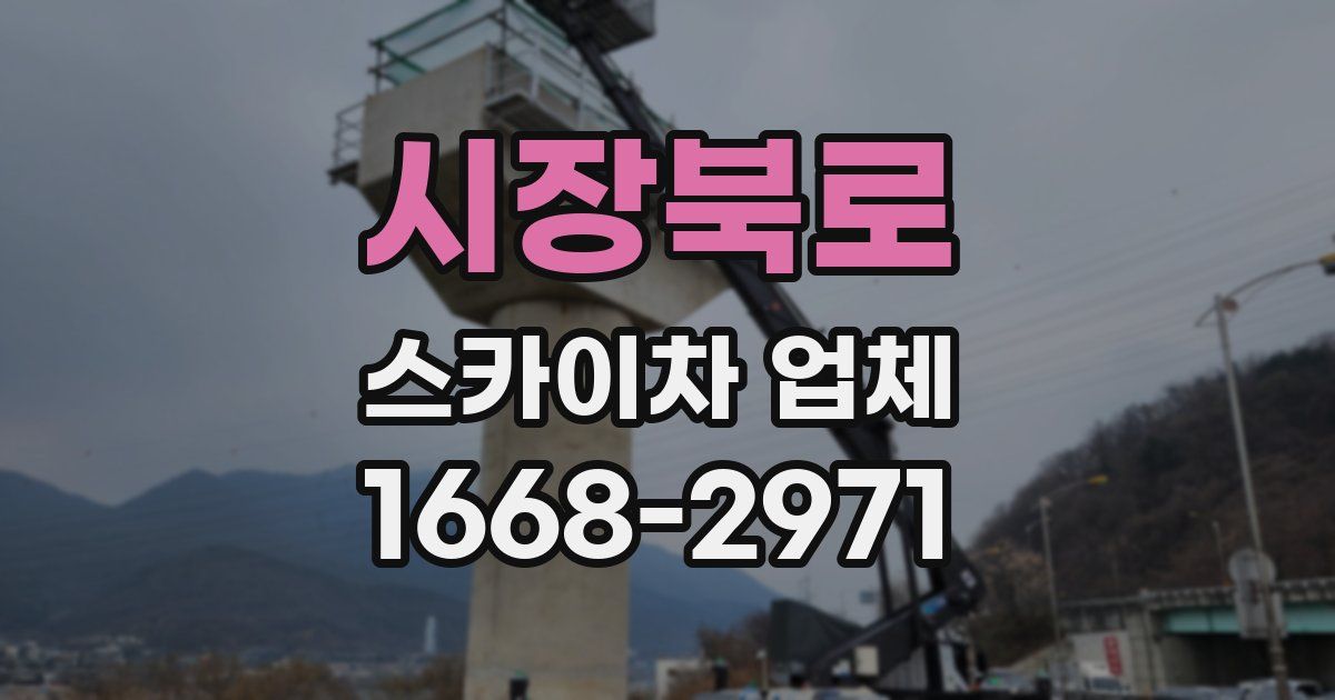 시장북로 스카이차 업체
