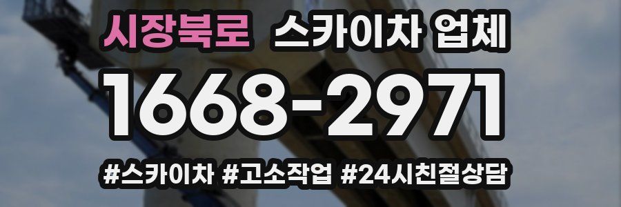 시장북로 스카이차 업체