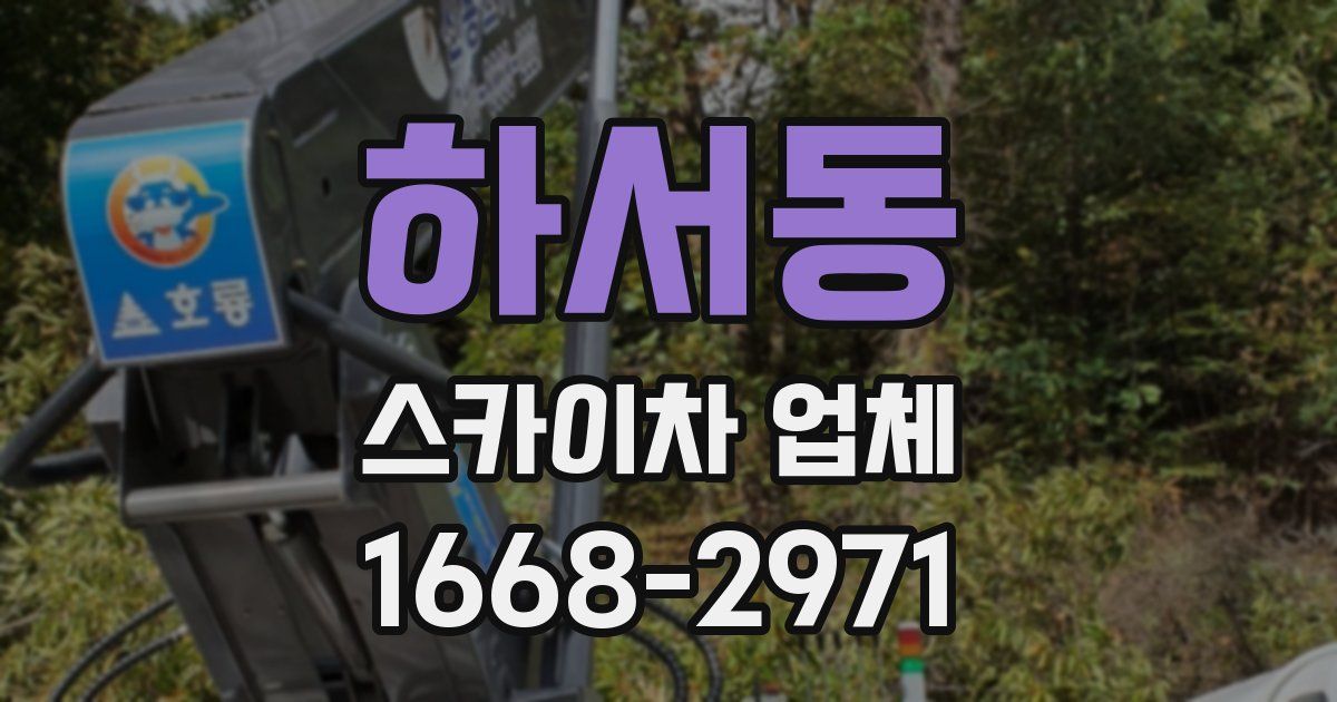 하서동 스카이차 업체