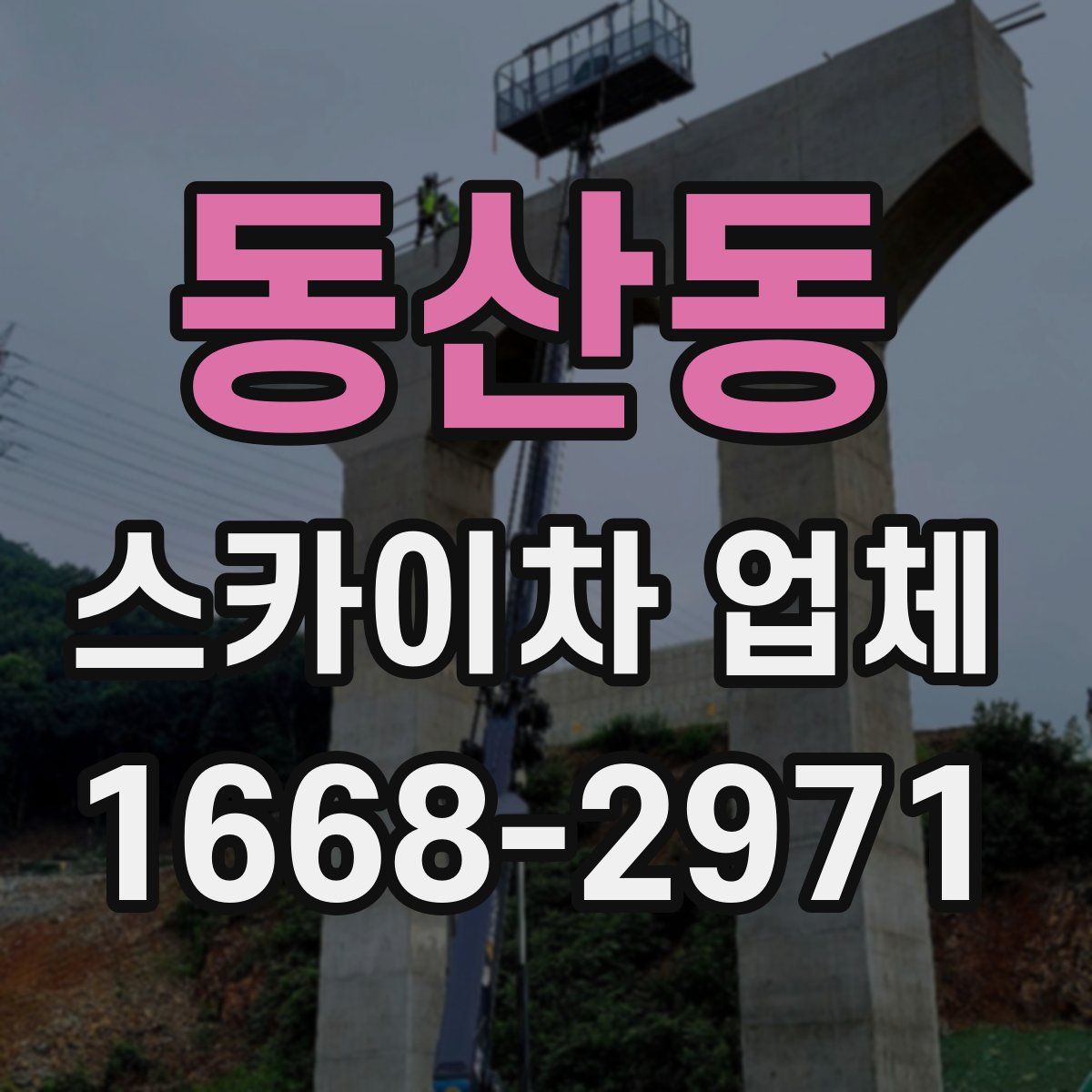 동산동 스카이차 업체