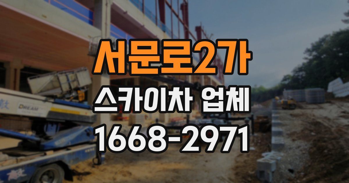 서문로2가 스카이차 업체