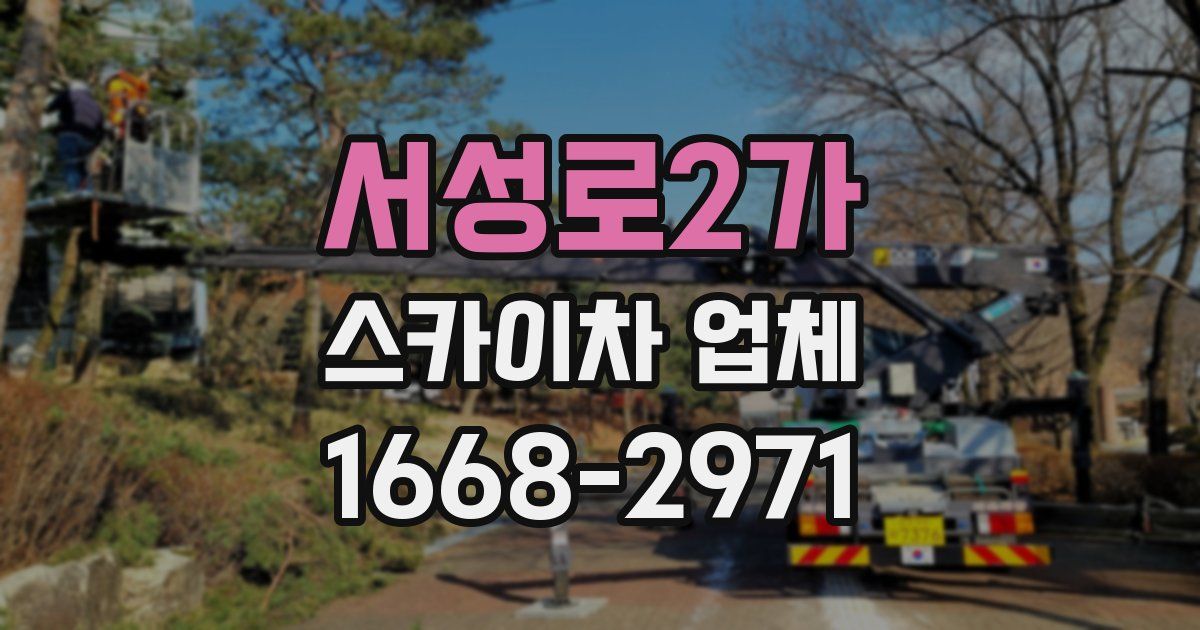 서성로2가 스카이차 업체