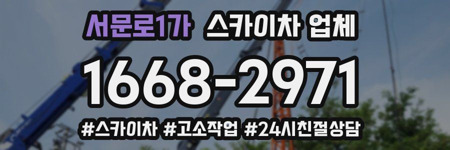 서문로1가 스카이차 업체