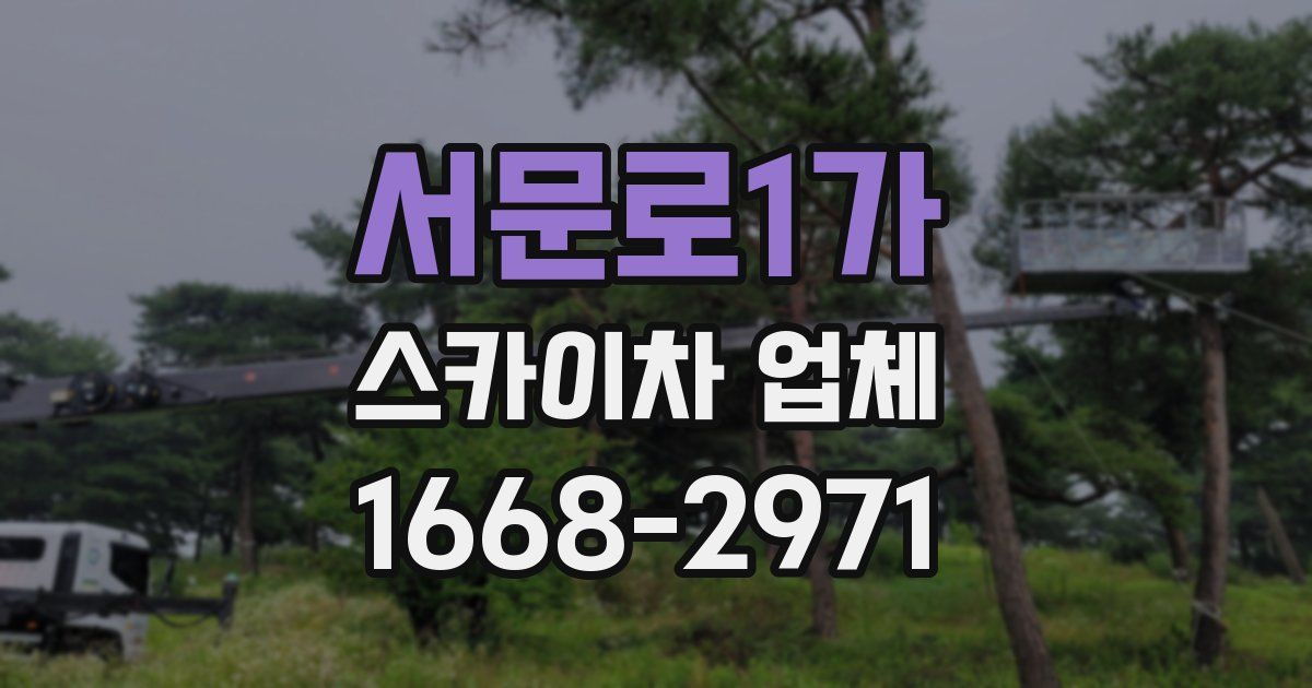 서문로1가 스카이차 업체