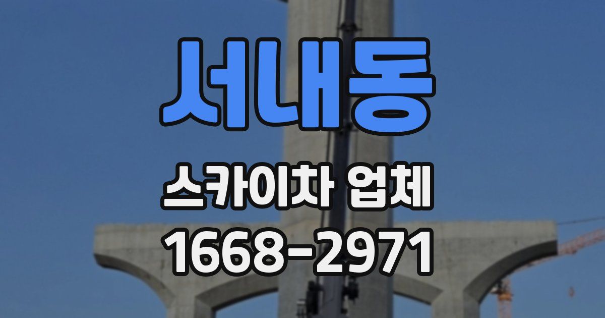 서내동 스카이차 업체