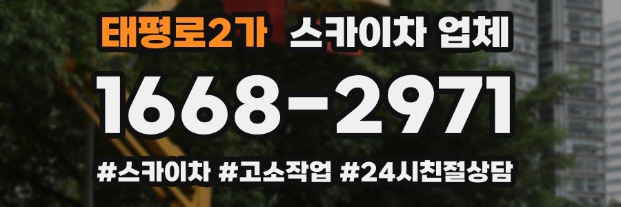 태평로2가 스카이차 업체