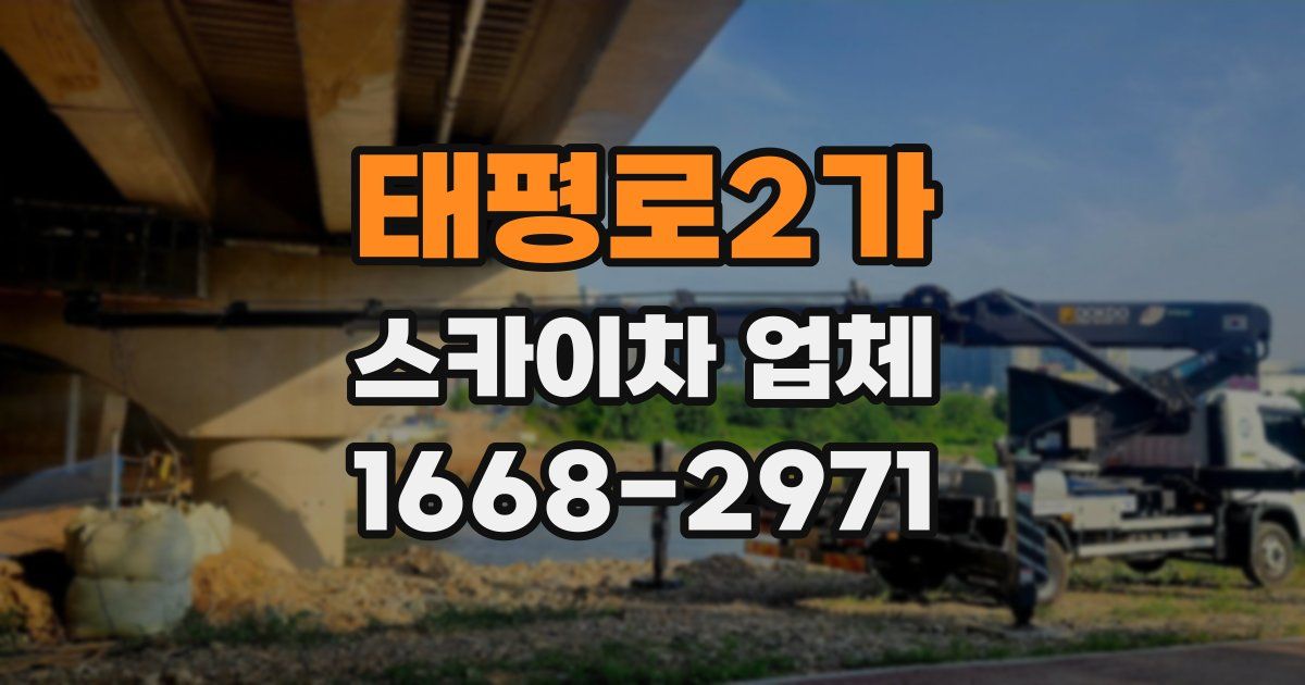 태평로2가 스카이차 업체