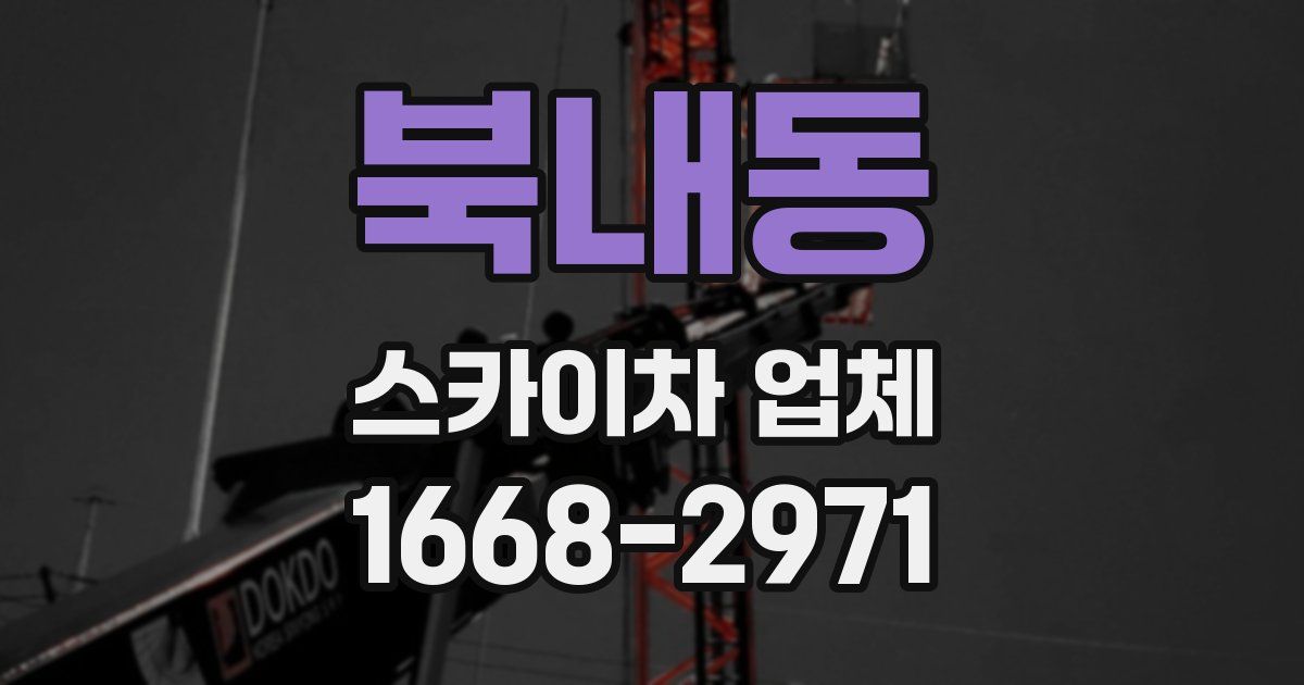 북내동 스카이차 업체