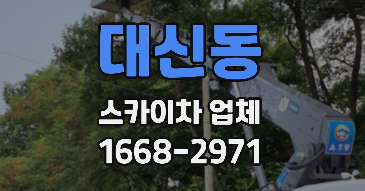 대신동 스카이차 업체