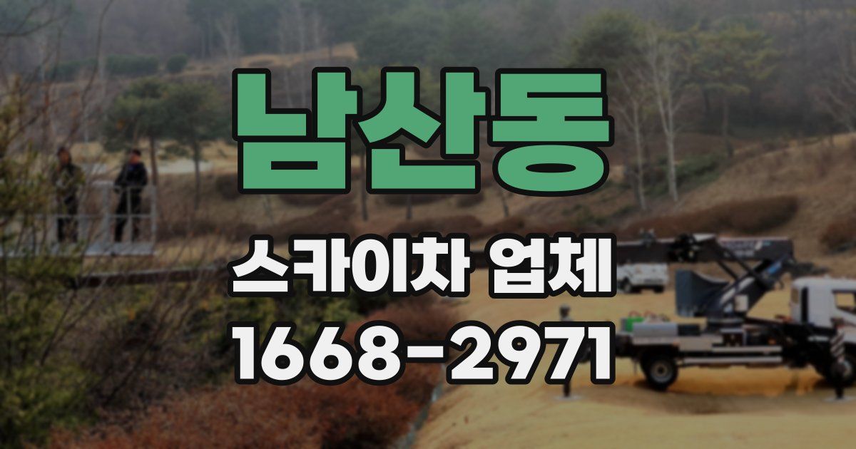 남산동 스카이차 업체