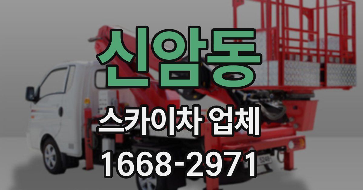 신암동 스카이차 업체