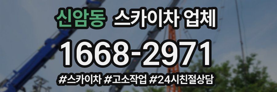 신암동 스카이차 업체