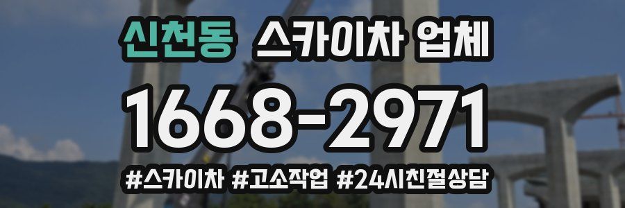 신천동 스카이차 업체