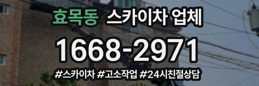 효목동 스카이차 업체