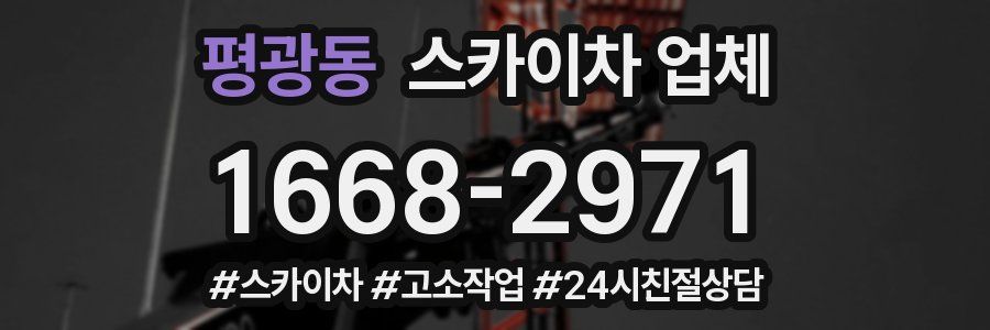 평광동 스카이차 업체