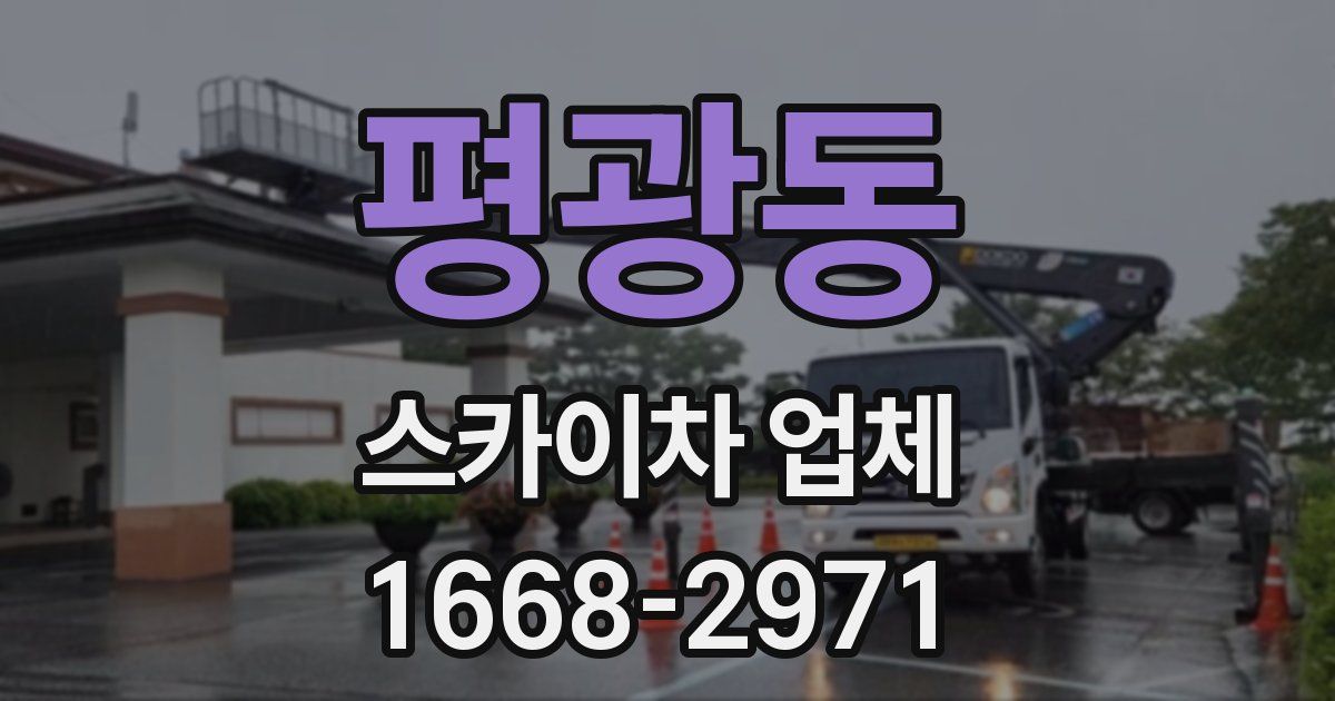평광동 스카이차 업체