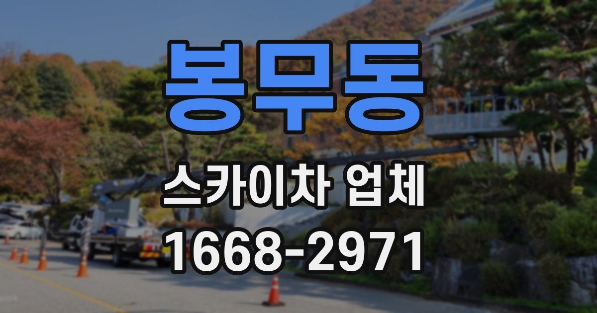 봉무동 스카이차 업체