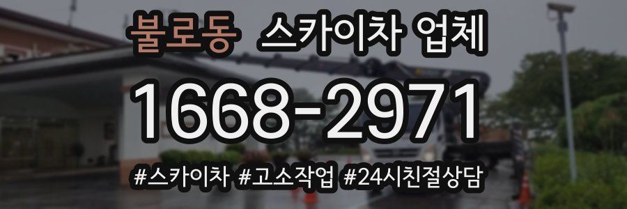 불로동 스카이차 업체