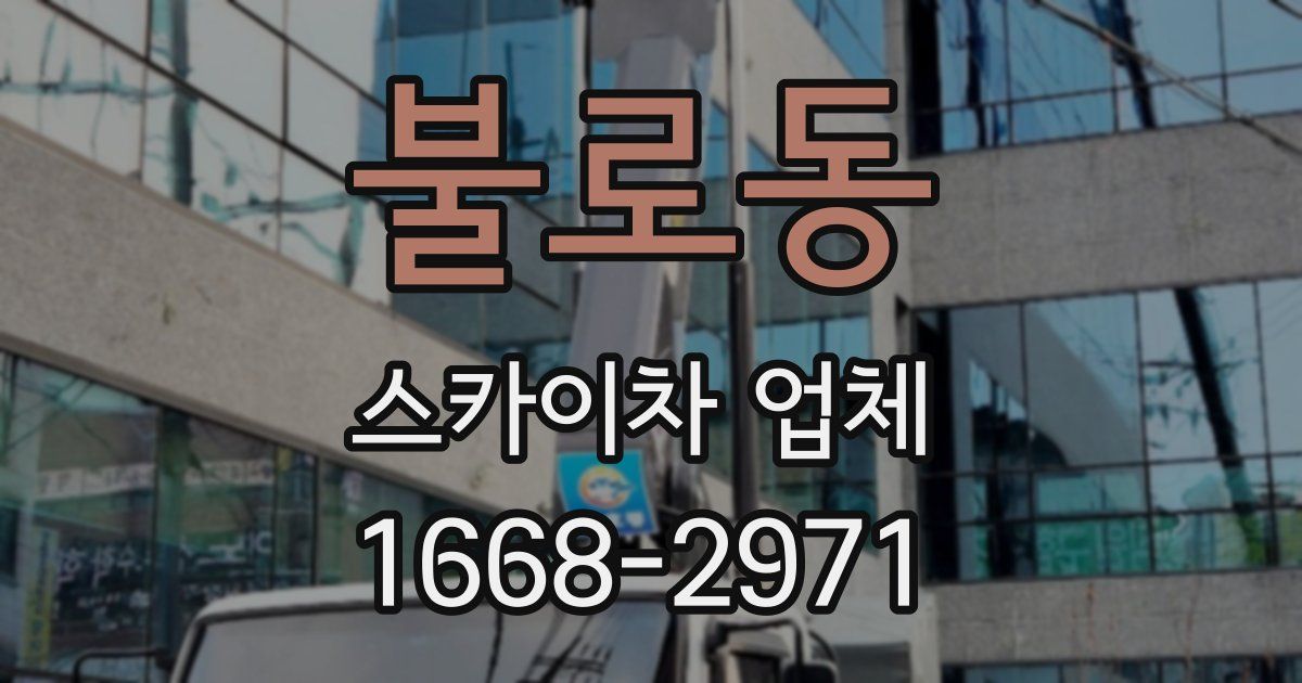 불로동 스카이차 업체