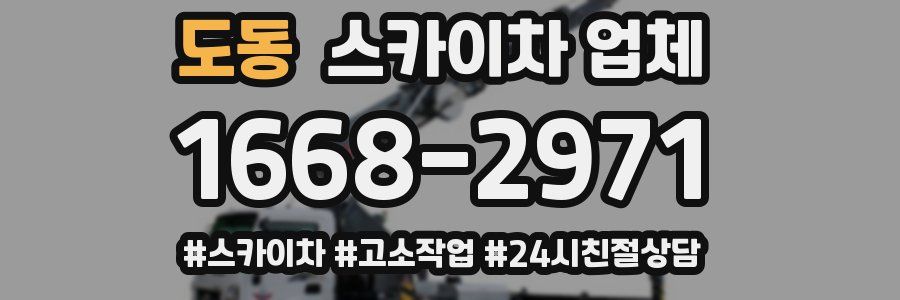 도동 스카이차 업체