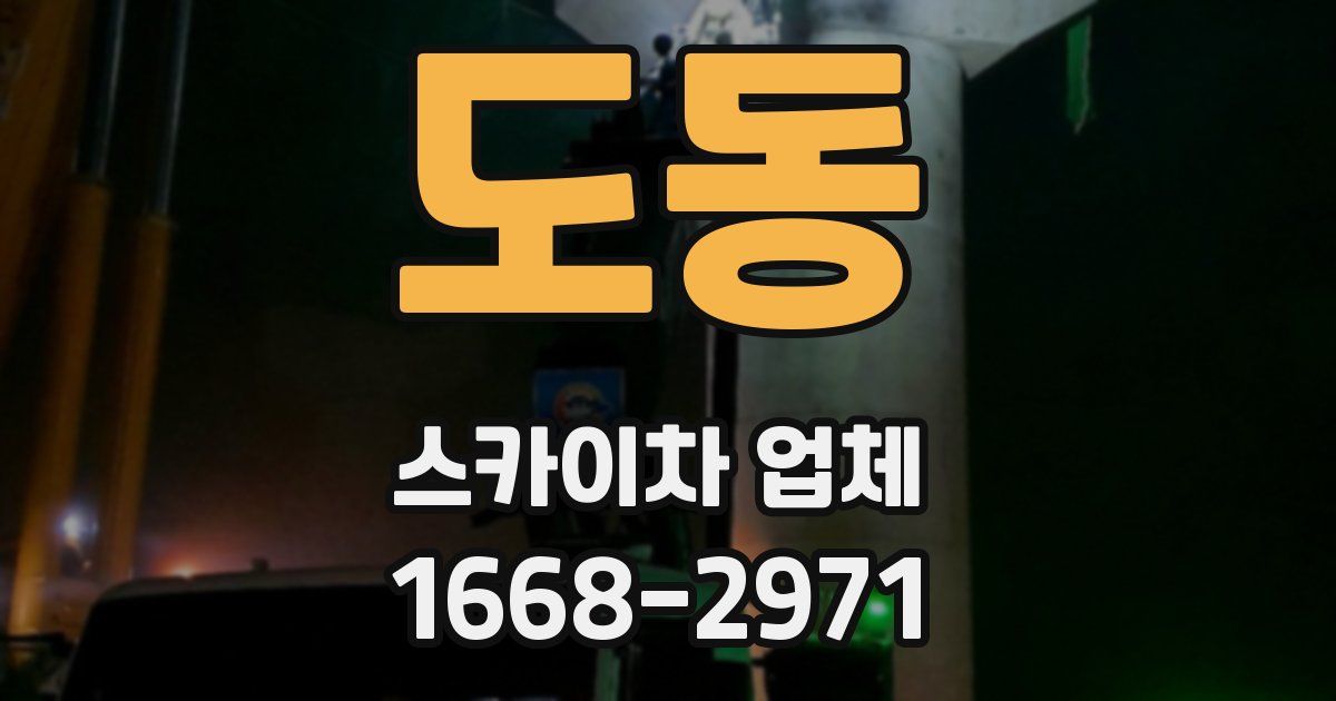 도동 스카이차 업체