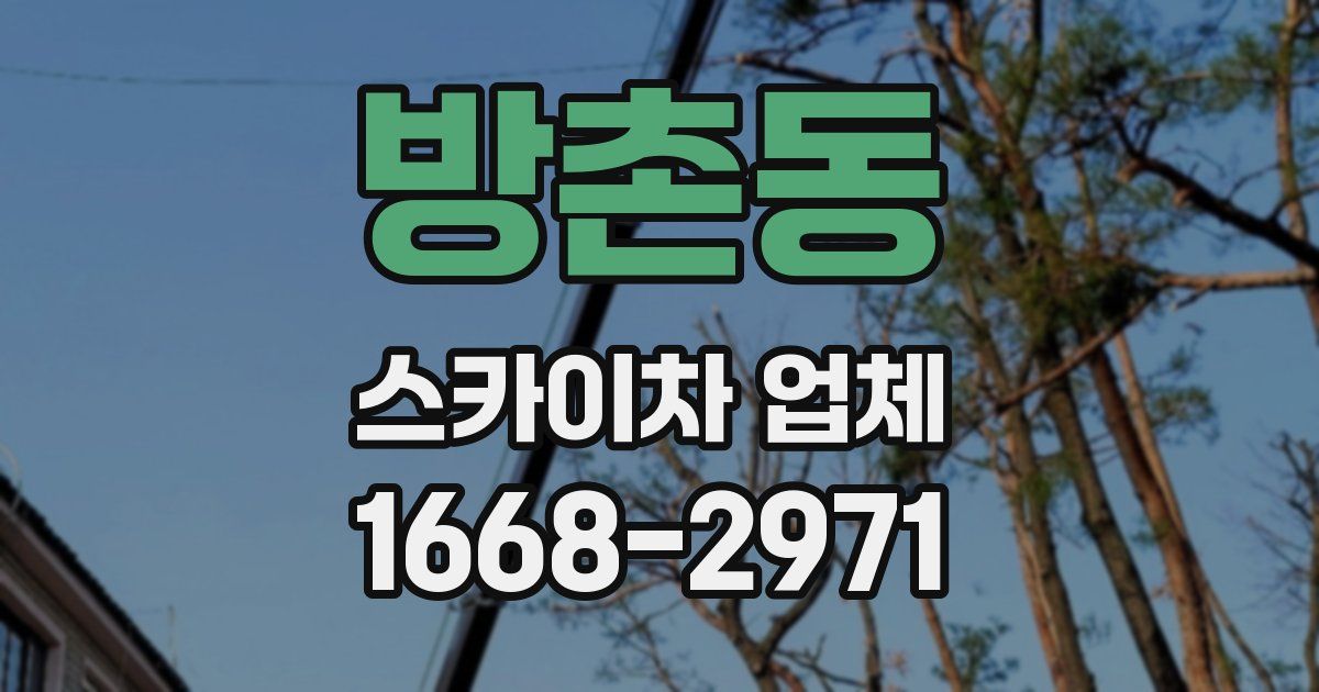 방촌동 스카이차 업체