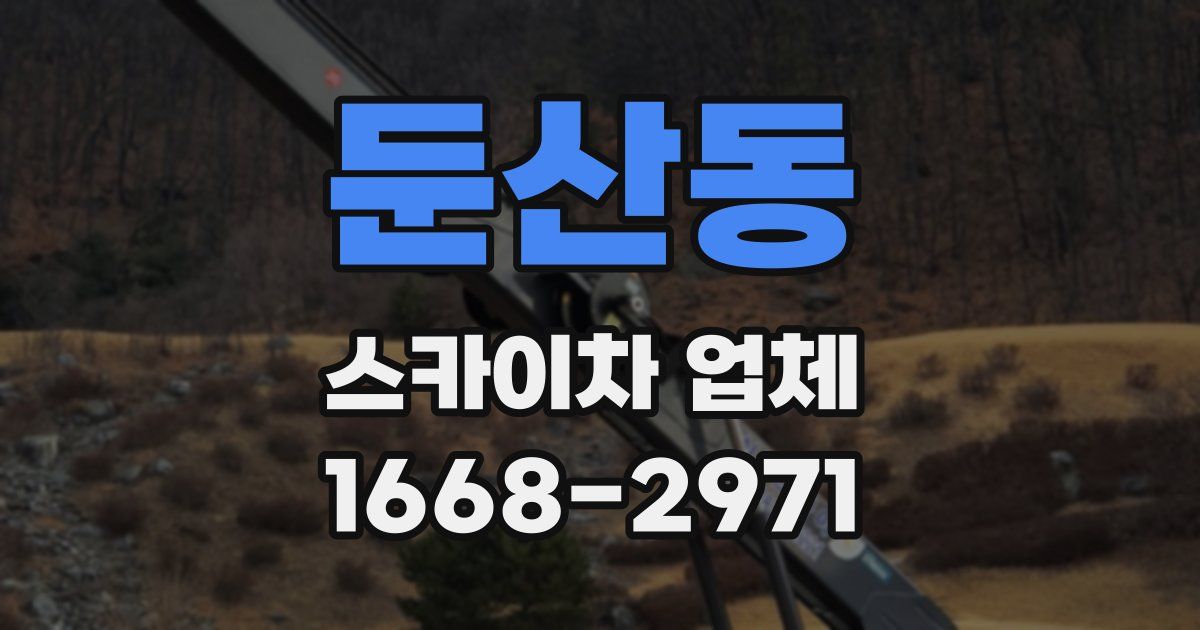 둔산동 스카이차 업체