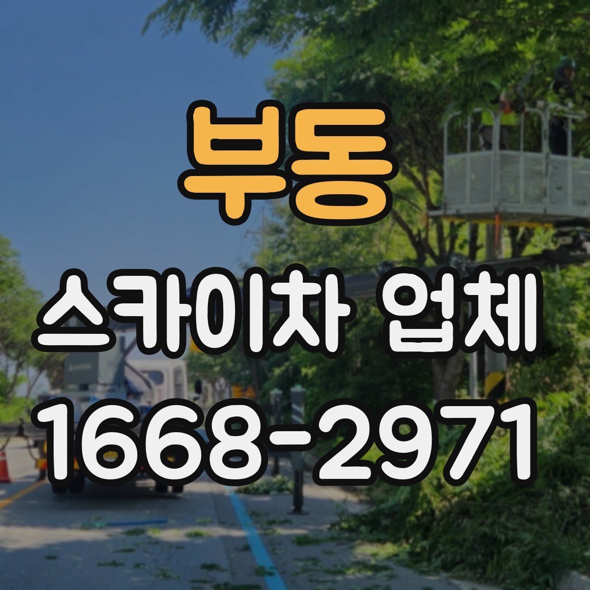 부동 스카이차 업체