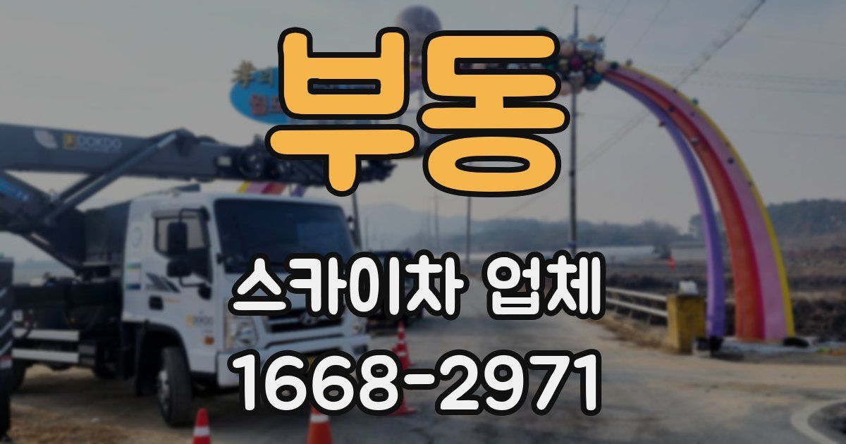 부동 스카이차 업체