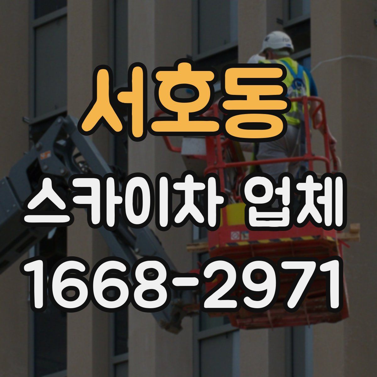 서호동 스카이차 업체