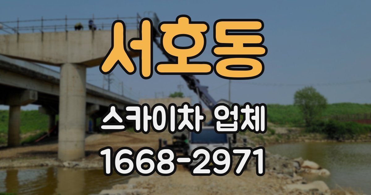 서호동 스카이차 업체
